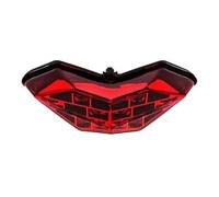 RRKBDQEL Ensemble Feu Arrière Moto Feu Arrière LED pour Moto | Clignotant Arrière Feux Stop Arrière Intégrés Pour Ninja 300 2013-2017 Pour Z300 Pour Z250 Pour Ninja250