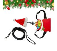 Rrlihjgu Ensemble de costume de dragon barbu de Noël - Accessoires de cosplay réglables - Costume de reptile de Noël - Chapeau de Père Noël - Pour lézards, gecko, léopard, reptiles, gecko, caméléon