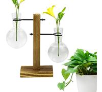 Rrlihjgu Station de propagation de plantes, stations de propagation, station de propagation claire avec superbe tube à essai hydroponique en bois, flacons de vase, récipient hydroponique