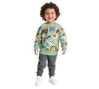 Rrongwn Sweat-shirt pour enfants garçons Motif dinosaure T-shirt à manches longues confortable décontracté Hauts d'hiver Coupe droite T-shirt thermique Coupe droite Pull décontracté 2-7 ans, vert, 130