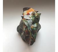 Rrose & Polygonia - Dermatologie