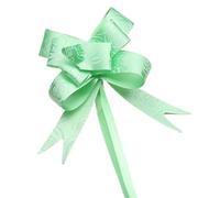 RRYPBOVG Bolduc Nœuds à Tirer 10/20/50/100 pièces Mini Emballage Cadeau for fête, Anniversaire, fête des mères, Halloween, Noël, décoration de Mariage(Minirose-Light Green,100PCS)