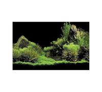RRYPBOVG Fond D'aquarium Autocollant forêt, Affiche de Fond d'aquarium, décoration Murale d'aquarium, aménagement paysager, forêt Tropicale, Terrarium(GREEN2,41x61cm)