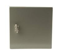 RS PRO Boîtier mural en acier RAL 7032 IP66, h x l x p 300 x 300 x 210 mm