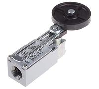 RS PRO Interrupteur de fin de course à levier avec rouleau réglable, DPST, fermeture/ouvre-porte IP66, alliage de zinc, câble de connexion 10 A