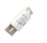 RS309-MF 800A/750V haute tension fusible 5A | Specs: 800A 750V(RS309-MFS400A/750V)