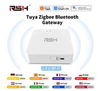 RSH Tuya Multi Mode ZigBee Bluetooth passerelle Hub appareils ménagers intelligents télécommande pont prise en charge Alexa Google Home Voice Gris clair
