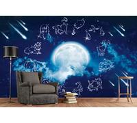 rskjdghshd Papier peint 3D ciel étoilé rêveur 12 constellations espace salon décoration peinture café restaurant mural, 350x245cm