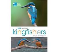 RSPB Spotlight Kingfishers by David Author Chandler David Chandler (Auteur)
