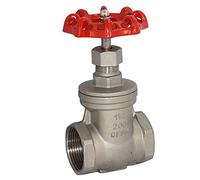 RSWMAHGEZ Vanne de porte robuste en acier inoxydable SUS SS 316 CF8M NPT 1-0,6 cm