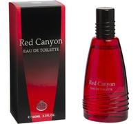 RT Eau de Toilette RED CANYON - Parfum pour homme - parfum épicé et cuir, - 100ml - Jumeau de parfum / Dupe Sale