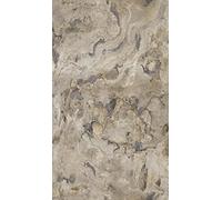 RT Papier peint intissé Collection Black Forest, multicolore, 514612