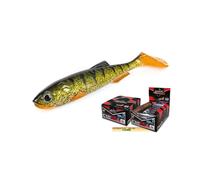 Molix Rt Shad Soft Lure 140 Mm 24 Units Doré