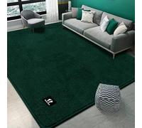 RTBQJ-AT Tapis de luxe Shaggy vert - 120x160 cm, antidérapant et lavable pour salon, chambre, décoration de luxe à la maison