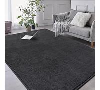 RTBQJ-AT Tapis pour Salon - Moquette de salon, 200 x 300 cm, microfibre, poils courts, doux, lavable, antidérapant, couleur anthracite