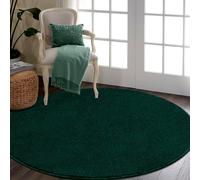 RTBQJ-AT Tapis rond, tapis de salon doux en microfibre lavable pour la chambre à coucher, tapis moderne moelleux à poils longs vert, 80 cm