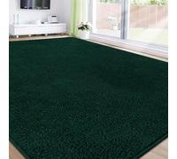 RTBQJ-AT Tapis Salon 160x230 cm Tapis doux et pelucheux vert, tapis antidérapant lavable pour chambre, cuisine, salon, salle de jeux