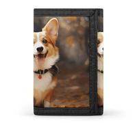 RTFGHJS Portefeuille à trois volets pour homme, un porte-monnaie en forme de lapin marron avec pince à billets et porte-cartes de crédit avec 8 emplacements pour cartes, Corgi Dog, Taille unique