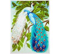 RTO Collection d'art estampillé kit de Point de Croix, 37 x 49 cm