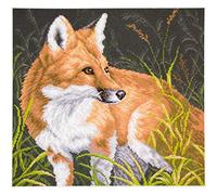 RTO Collection d'art estampillé kit de Point de Croix, 41 x 41 cm