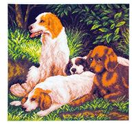 RTO Collection d'art estampillé kit de Point de Croix, 41 x 41 cm