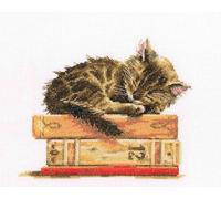 RTO M642 Kit pour Point de Croix de Chat Rêve de Chat Coton Multicolore 19,5 x 16,5 cm