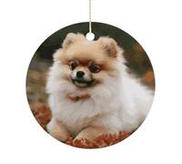 RTSEBVN Cercle de Noël personnalisé chien de Poméranie à poils courts Impression Ornement de Noël Artisanat en céramique Décorations à suspendre pour la décoration de vacances, taille unique