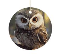 RTSEBVN Cercle de Noël personnalisé mignon hibou impression décoration de Noël artisanat en céramique décorations à suspendre pour décoration de vacances, taille unique, céramique, céramique, taille