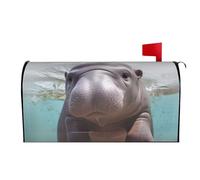 RTSTNMBD Housse de boîte aux lettres magnétique décorative pour le printemps et l'été, les vacances, pour la maison, l'extérieur, la bienvenue, le jardin, 64,8 x 53,3 cm