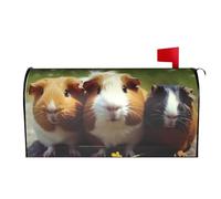 RTSTNMBD Housse de boîte aux lettres magnétique décorative pour le printemps et l'été, les vacances, pour la maison, l'extérieur, la bienvenue, le jardin, 64,8 x 53,3 cm