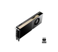 NVIDIA RTX - Carte graphique - RTX 4500 Ada - 24 Go GDDR6 - PCIe 4.0 x16 - 4 x DisplayPort