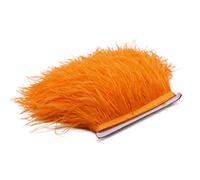 Ruban à franges en plumes d'autruche naturelles
