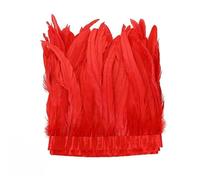 Ruban de 2 mètres en plumes de queue de coq colorées, idéal pour les loisirs créatifs, la couture, la décoration de carnaval et bien plus encore ! Plumas Decorativas - Rouge - 20-25 cm (8-10 pou