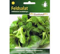 Ruban de graines hollandaises à feuilles larges