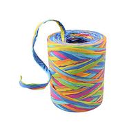 Ruban de Papier de Raphia Coloré Mélange de 6 Couleurs Dégradable | pour Emballage de Cadeaux, Fleuriste, Tissage, Travaux Manuels