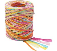 Ruban De Papier Raphia Coloré Ruban D'emballage En Raphia Segment Plat Teinté Arc En Ciel Ficelle De Papier Tissée Assortie Rouleau De Ficelle Pour Cadeaux De Fête Emballage Cadeau Décoration