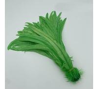 Ruban de plumes queue, frange, 100 pièces, accessoires bijoux for vêtements bricolage, centres table fête à faire soi-même(Apple Green)