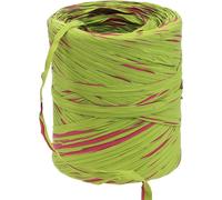 Ruban de raphia Vert clair Rose Ruban cadeau Poly-Raffia 200m Ruban décoratif pour fleurs & DIY