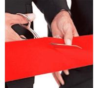 Ruban de satin extra large Rouge 100 mm x 2 m