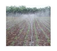 Ruban d'irrigation goutte-à-goutte en PE, Poly Micro Spray Drip Tape 3/4in 20mm 20kPa 2m Flex NoTangle Irrigation agricole Multi tailles(2-hole Tape,10meters(33ft))