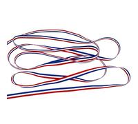 Ruban Gros Grain Drapeau Français Tricolore 6 mètres largeur 10 mm