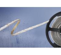 Ruban LED Barthelme 51540133 avec câble à extrémités ouvertes 24 V 5 m N/A 1 pc(s)