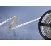 Ruban LED Barthelme 51540134 avec câble à extrémités ouvertes 24 V 5 m N/A 1 pc(s)