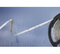 Ruban LED Barthelme 51540334 avec câble à extrémités ouvertes 24 V 5 m N/A 1 pc(s)