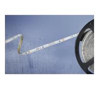 Ruban LED Barthelme 51540428 avec câble à extrémités ouvertes 12 V 5 m N/A 1