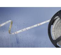 Ruban LED Barthelme 51540428 avec câble à extrémités ouvertes 12 V 5 m N/A 1 pc(s)