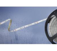 Ruban LED Barthelme 51540433 avec câble à extrémités ouvertes 12 V 5 m N/A 1 pc(s)