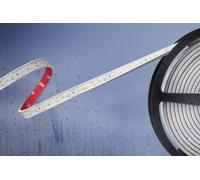 Ruban LED Barthelme 51540528 avec câble à extrémités ouvertes 24 V 5 m N/A 1 pc(s)
