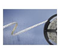 Ruban LED Barthelme 51540831 avec câble à extrémités ouvertes 24 V 5 m N/A 1