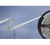 Ruban LED Barthelme 51540831 avec câble à extrémités ouvertes 24 V 5 m N/A 1 pc(s)